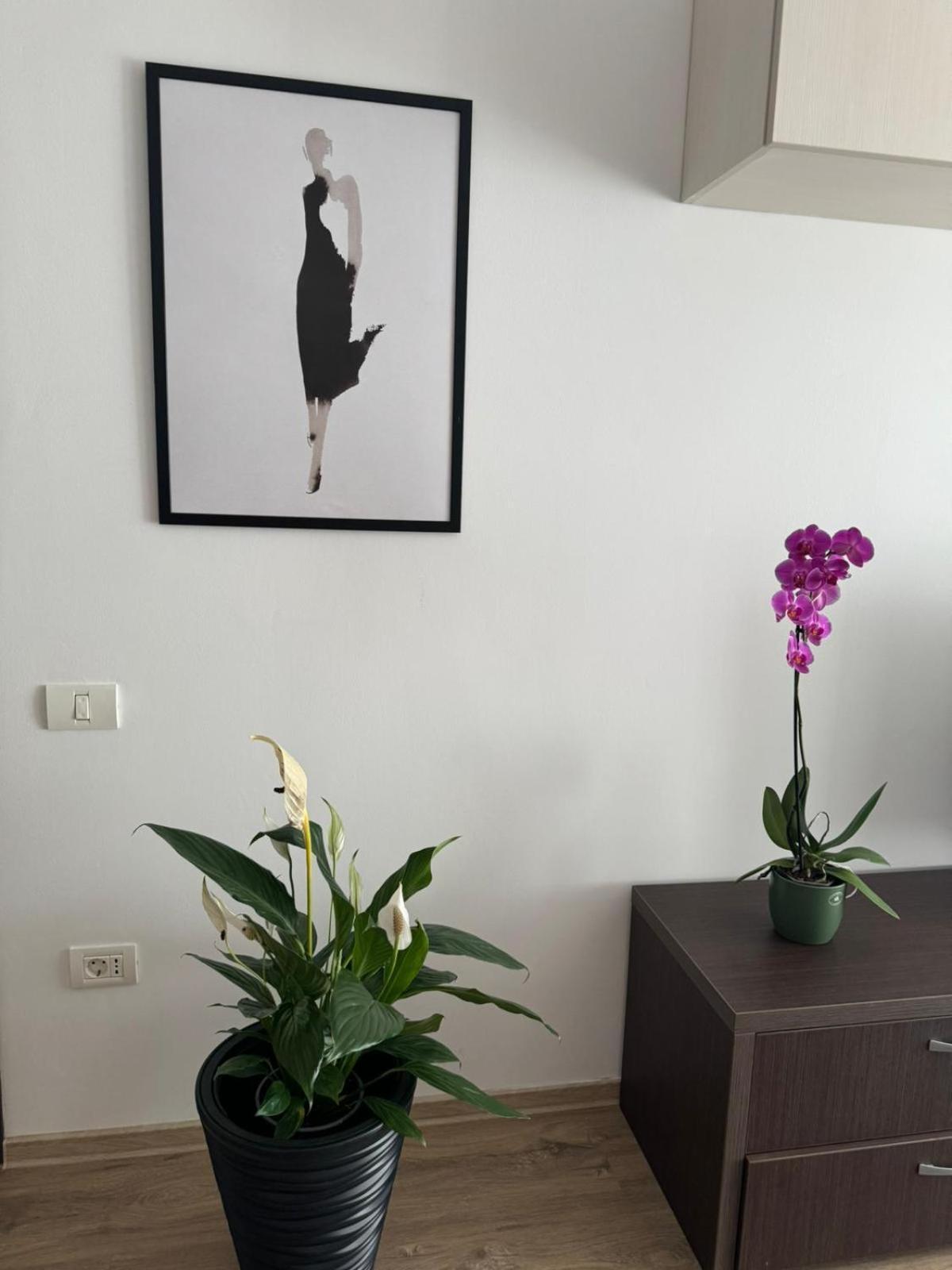 Apart Mihai Viteazu Residence Brašov Exteriér fotografie